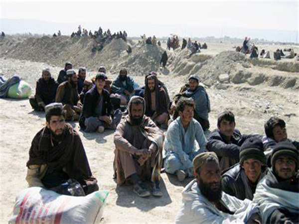Afghan deportation crisis